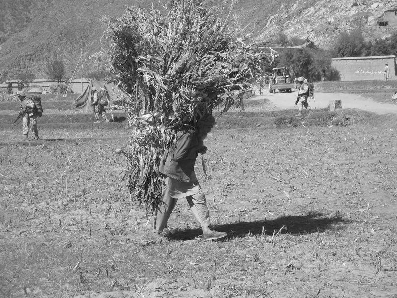 Farm