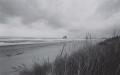 black and white ocean