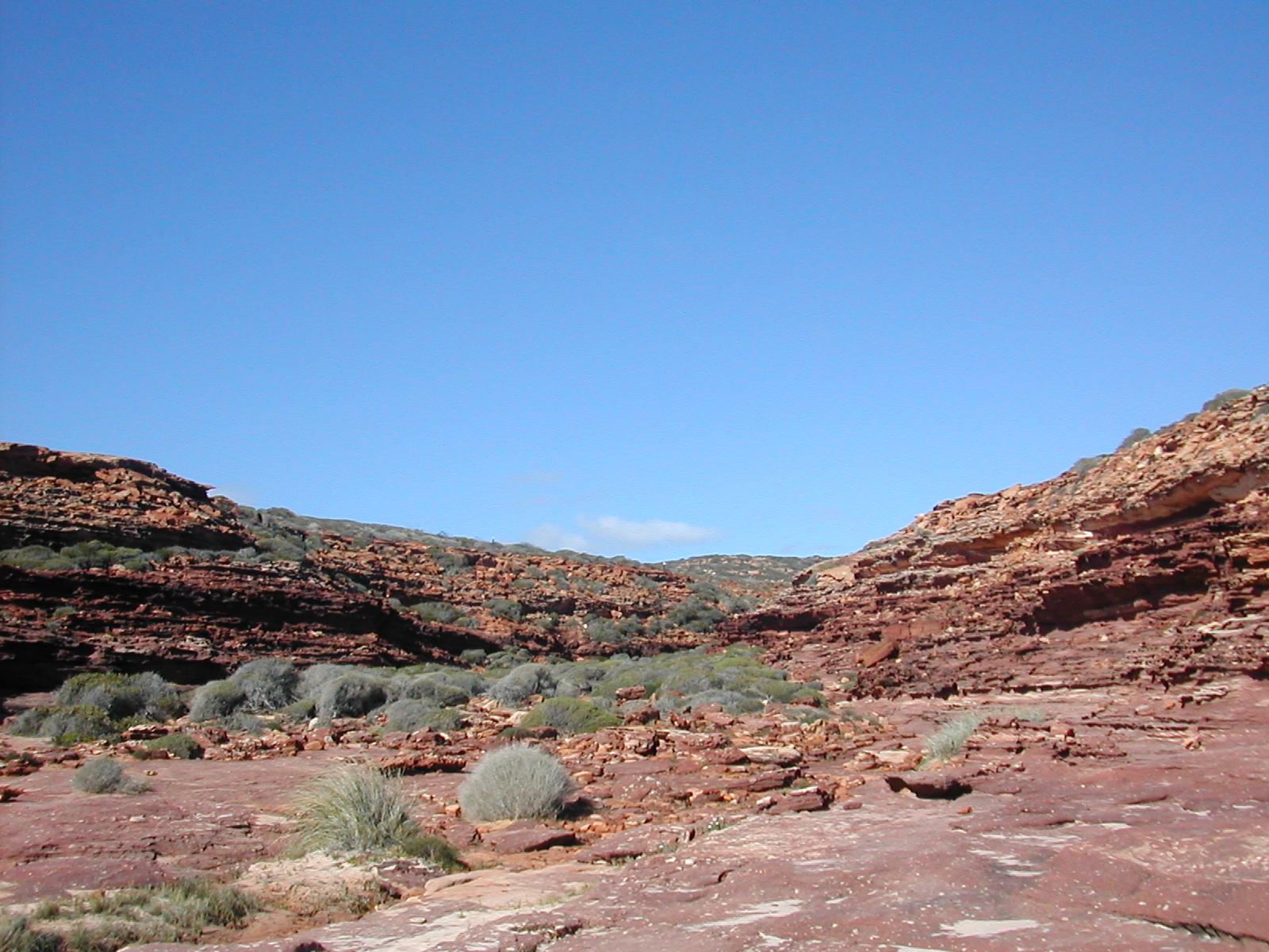 KARAGINI NATIONAL [PARK I THINK W.A.