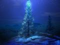 Christmas Night