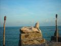 Sea and Buddha