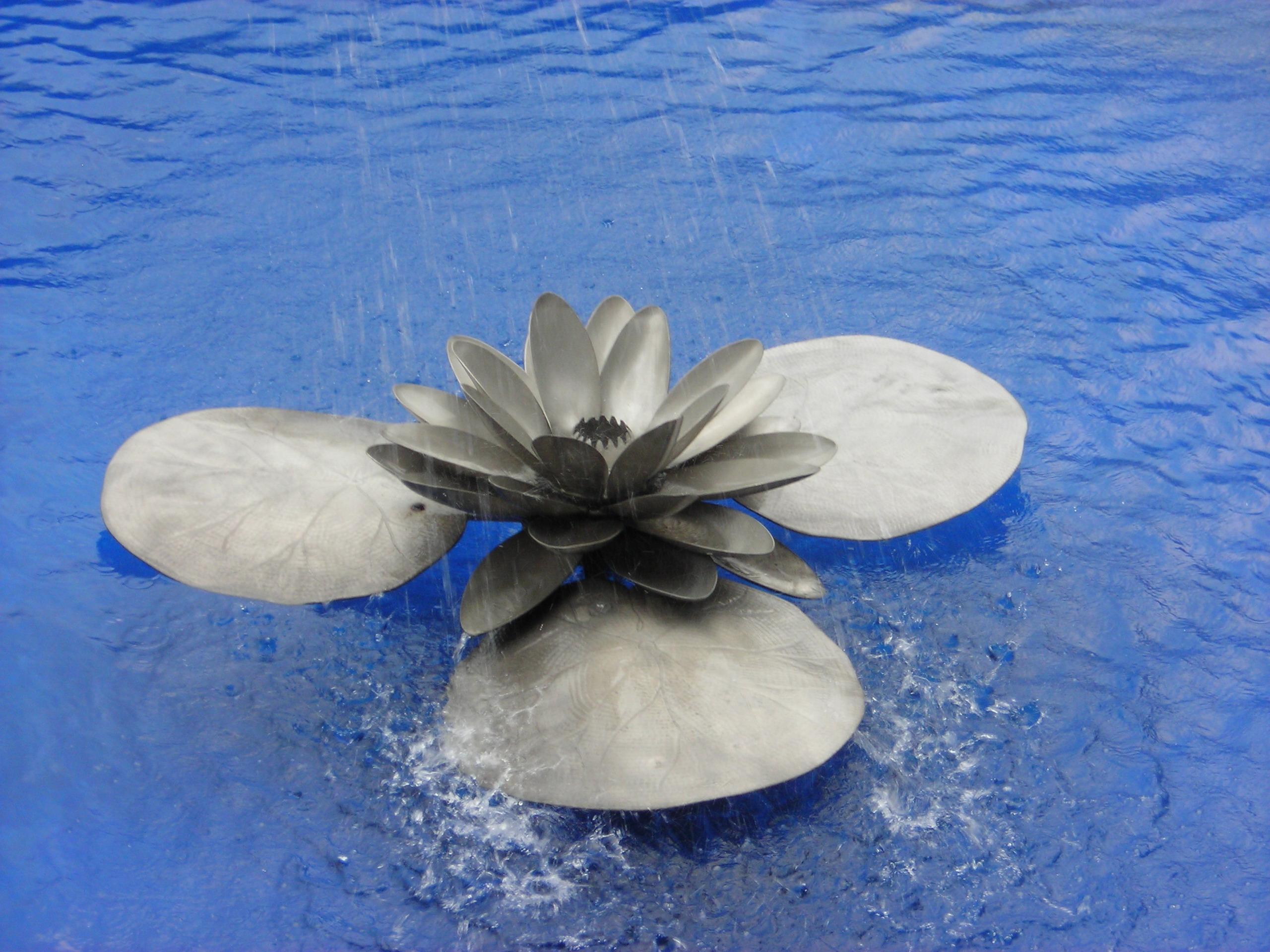 Lotus