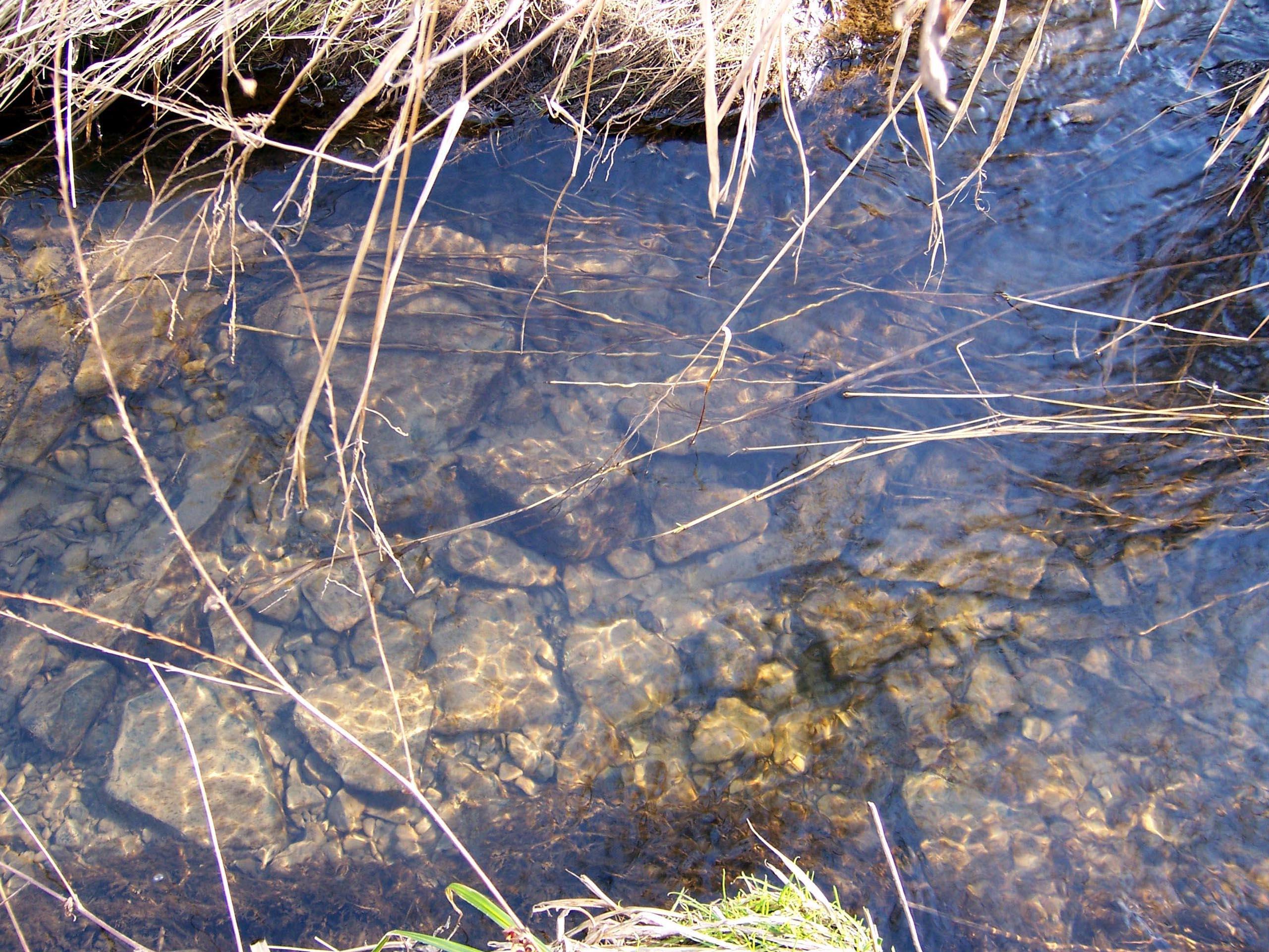 Water Stones