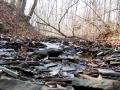 Creek