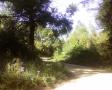 shire