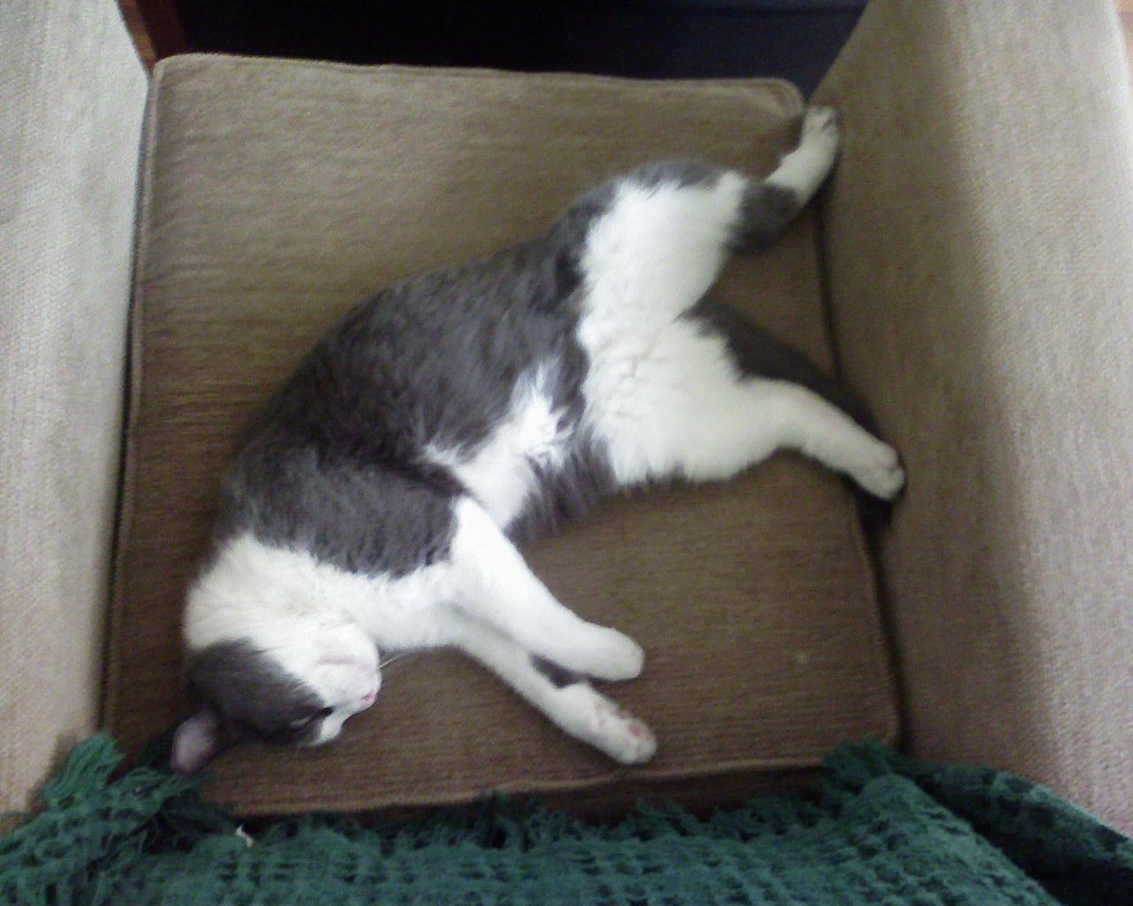 sleepy