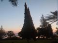 background: Nightfall