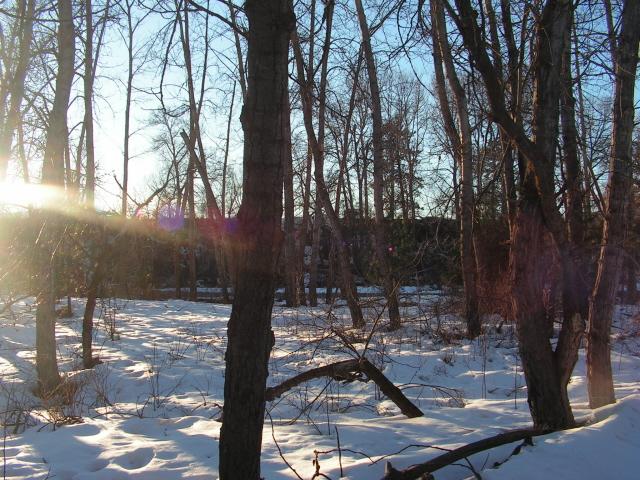 Sun and Snow