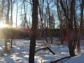 Sun and Snow