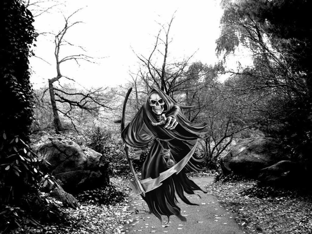 The Reapers Hunt