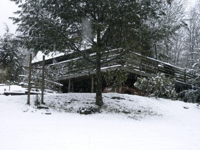 Cabin in the Woods