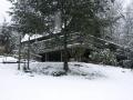 Cabin in the Woods
