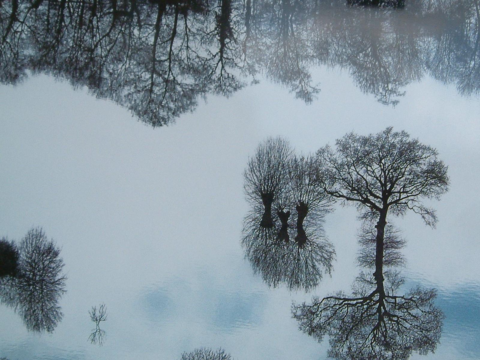 Snowy Landschape