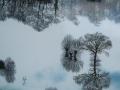Snowy Landschape