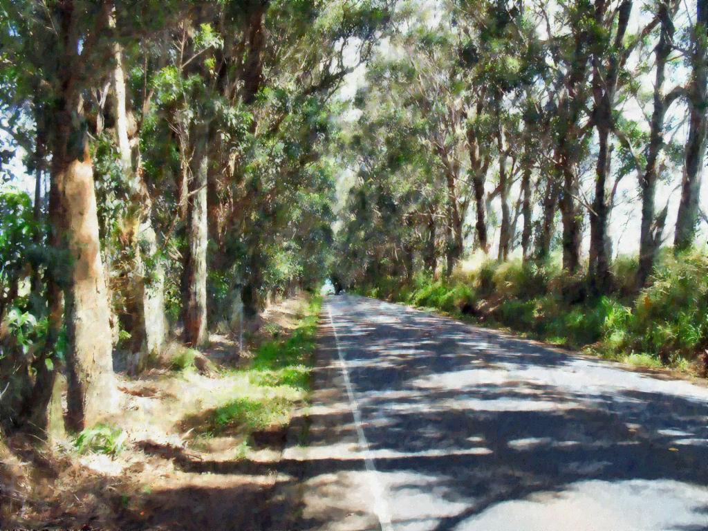 Drive this way