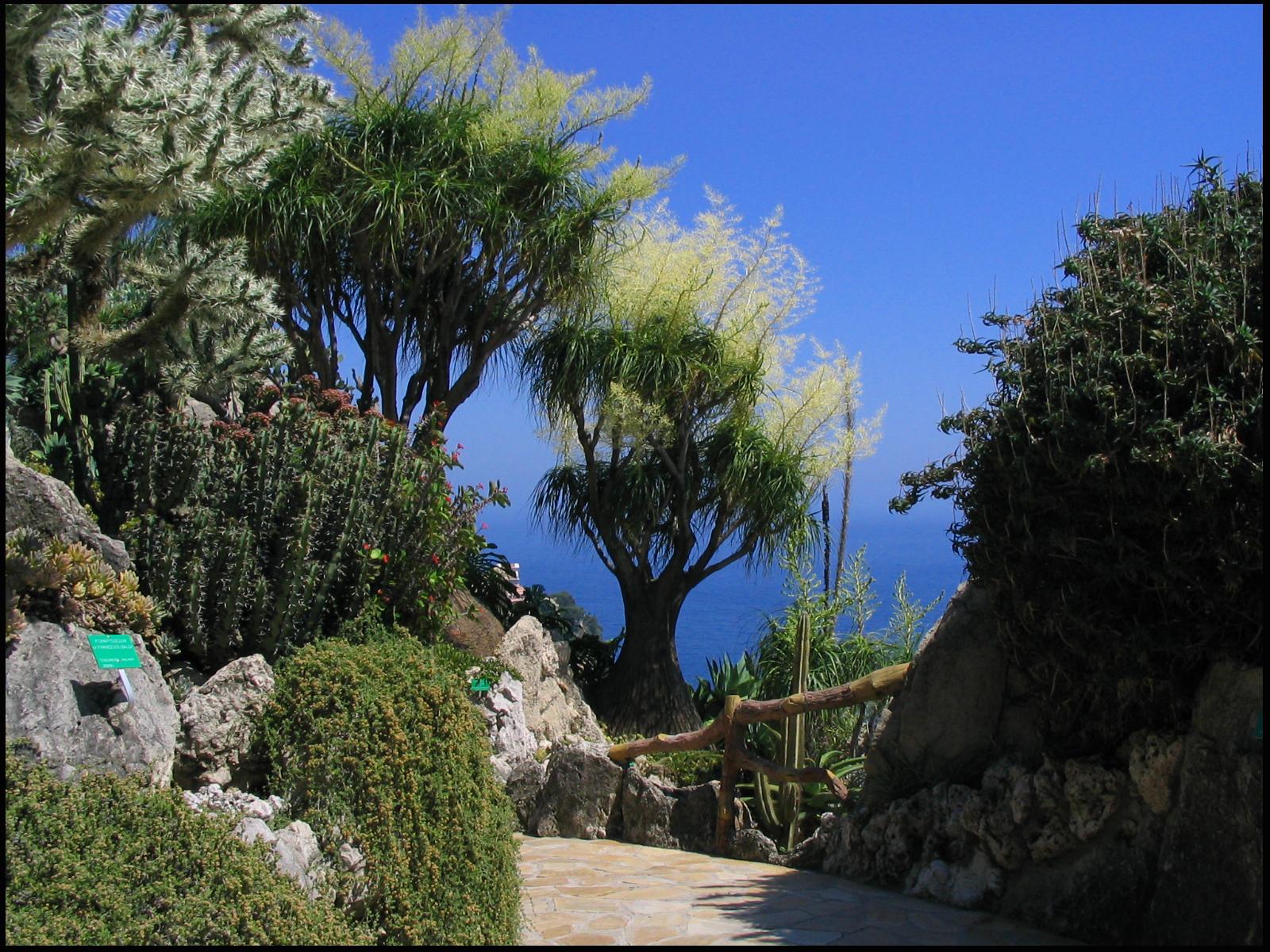 Exotic Garden