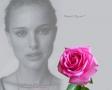 valentine day