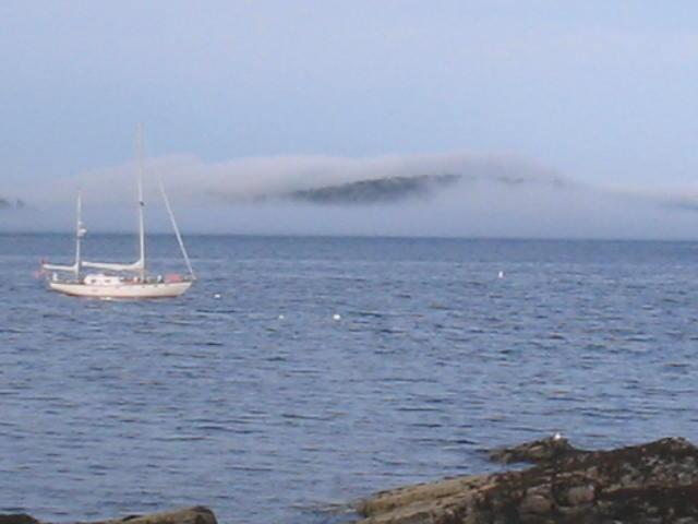 foggy island