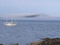 foggy island