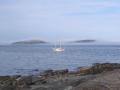 Foggy Islands
