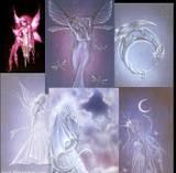 fairies