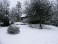 Snow Storm