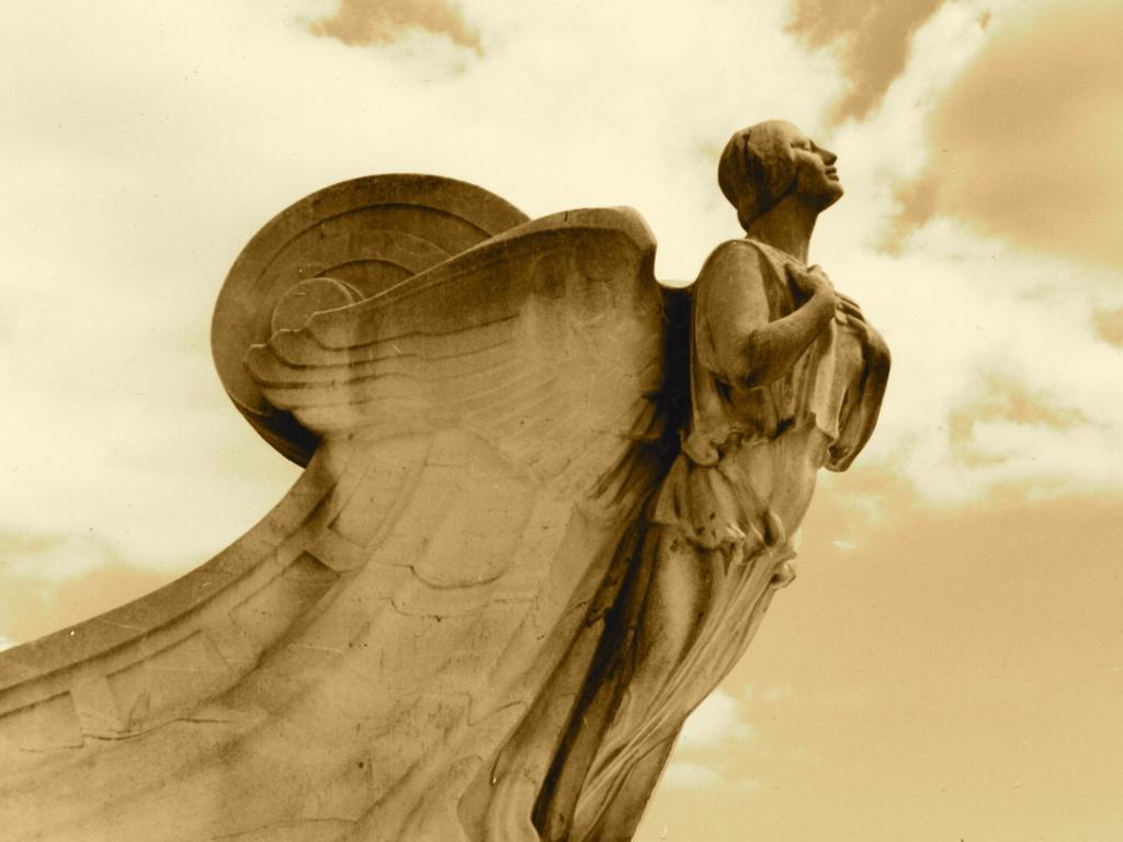 Lamb's Angel