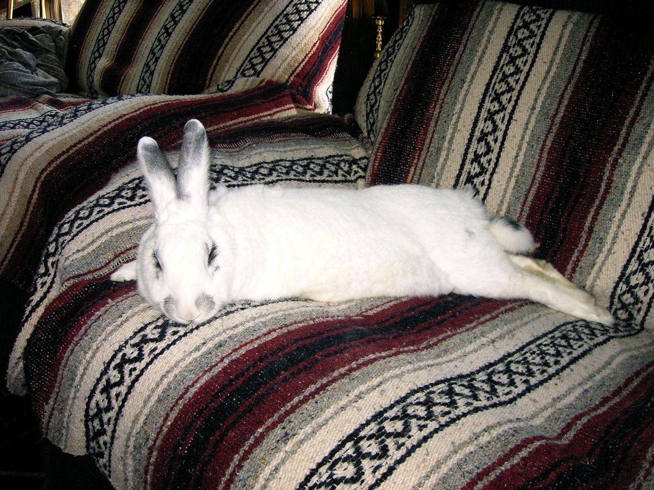 Just Resting