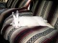 Just Resting