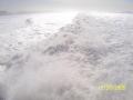 Side view of the waves