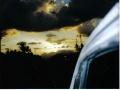 background: Lush Nights