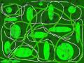 green4