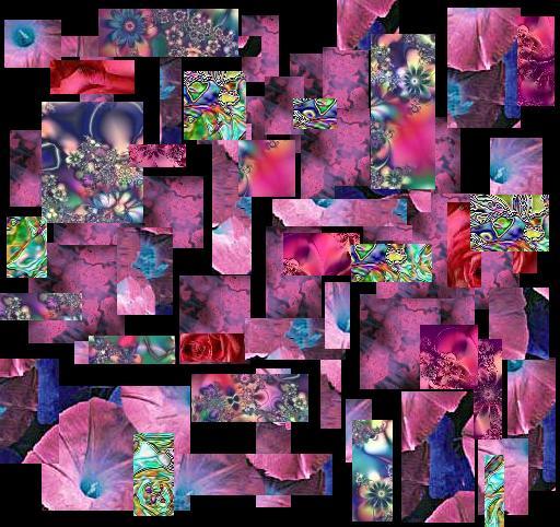 fractured flowers