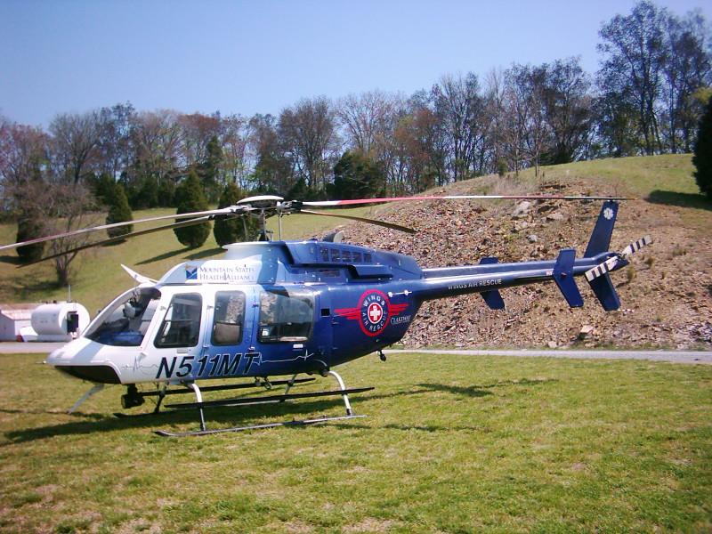 wings 