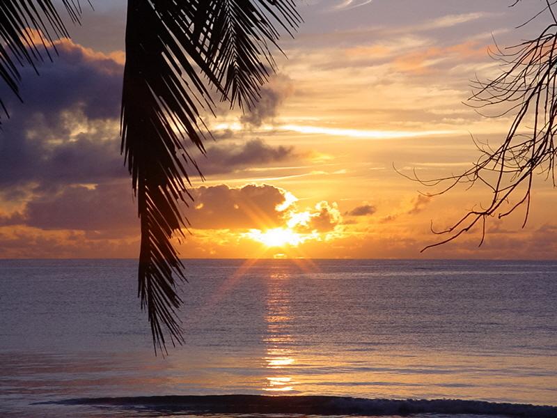 Breezy Paradise