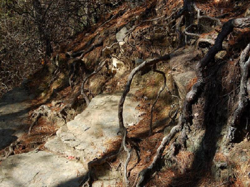 Abramn's Falls Trail Great Smokey Mountains Tennessee