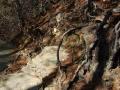 Abramn's Falls Trail Great Smokey Mountains Tennessee