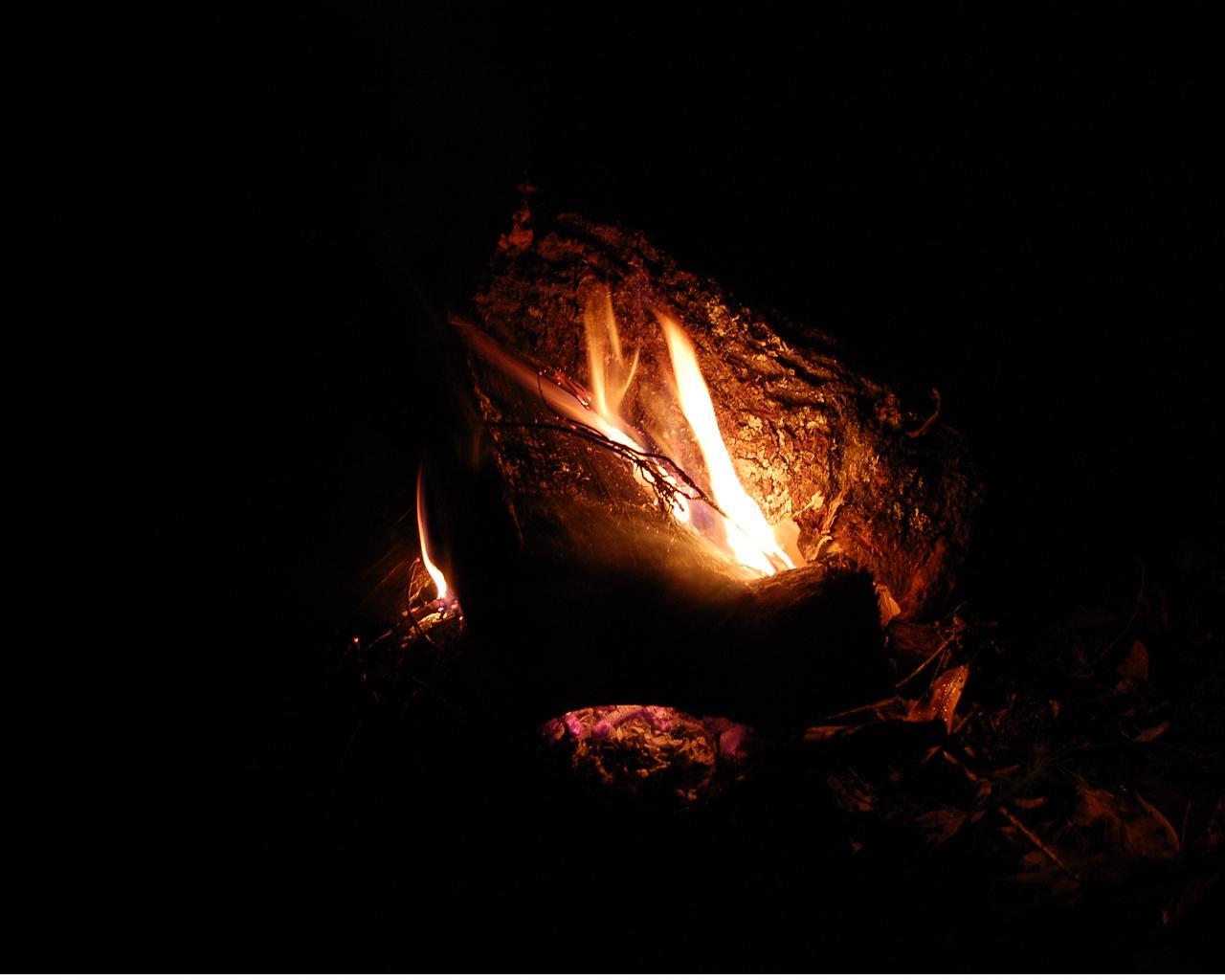 Bonfire