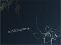 Unknown