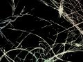 Splatter