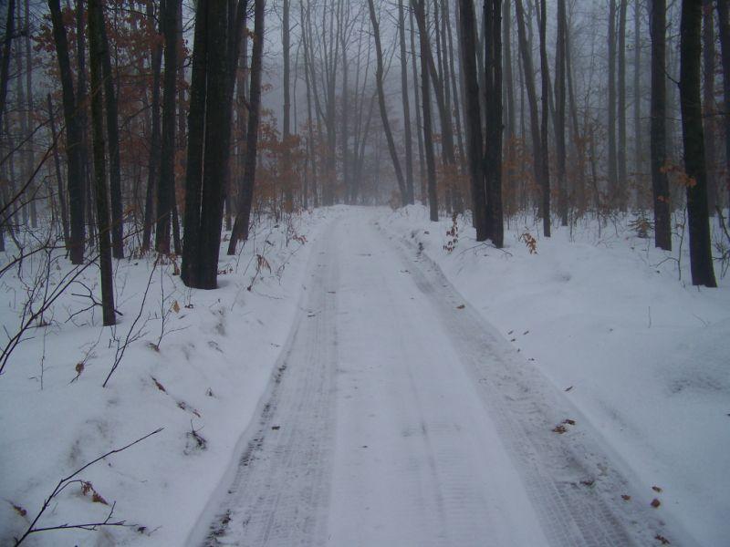 Up North