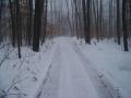 Up North