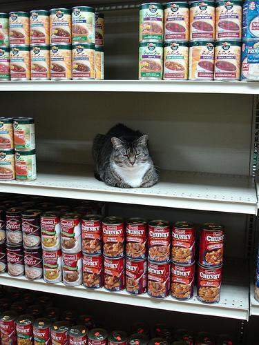 Luv your Shelf