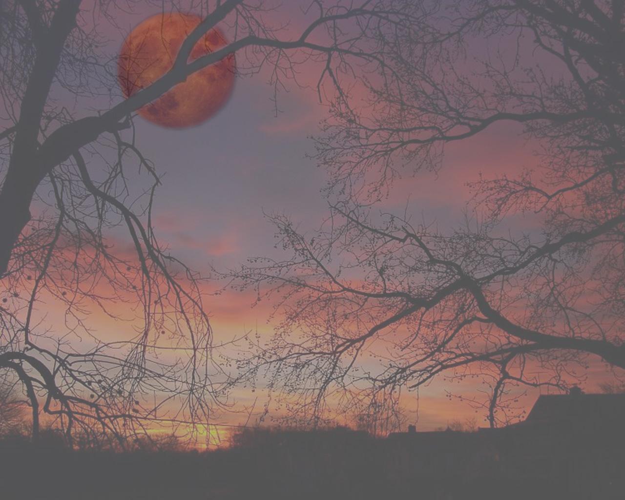 Sundown