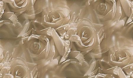 antique roses