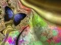 Butterfly World