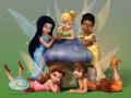 fairies