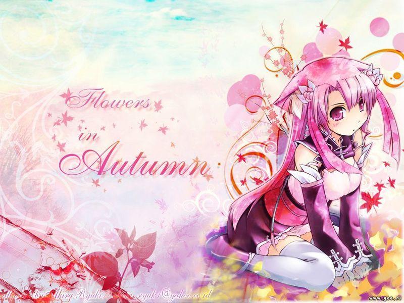 anime