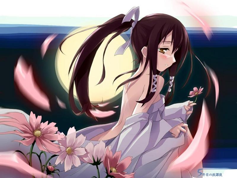 anime