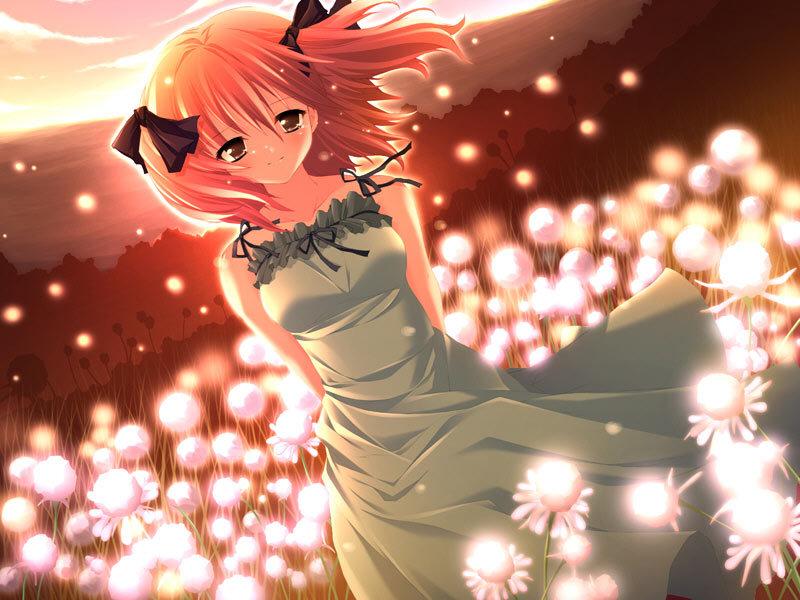 anime